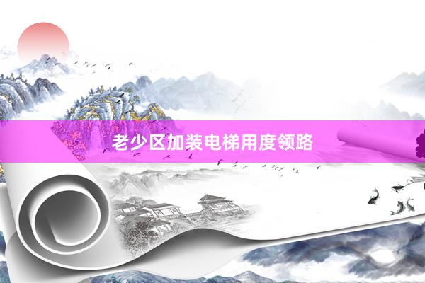 老少区加装电梯用度领路